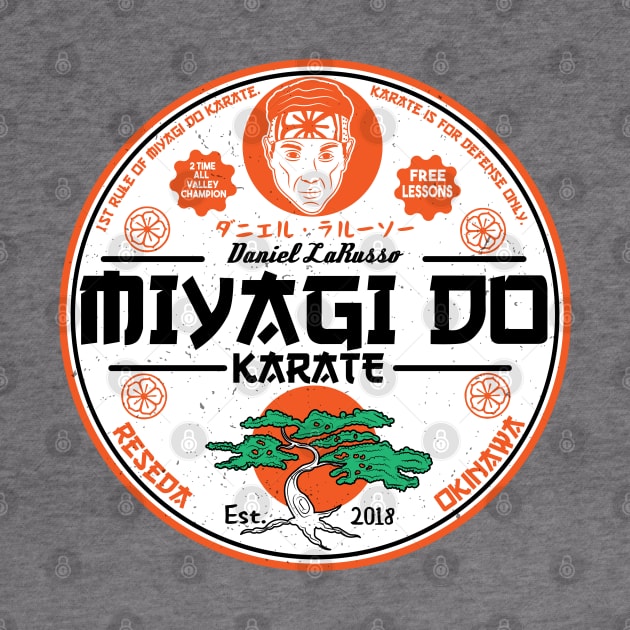 Miyagi  Do sensei LaRusso by carloj1956